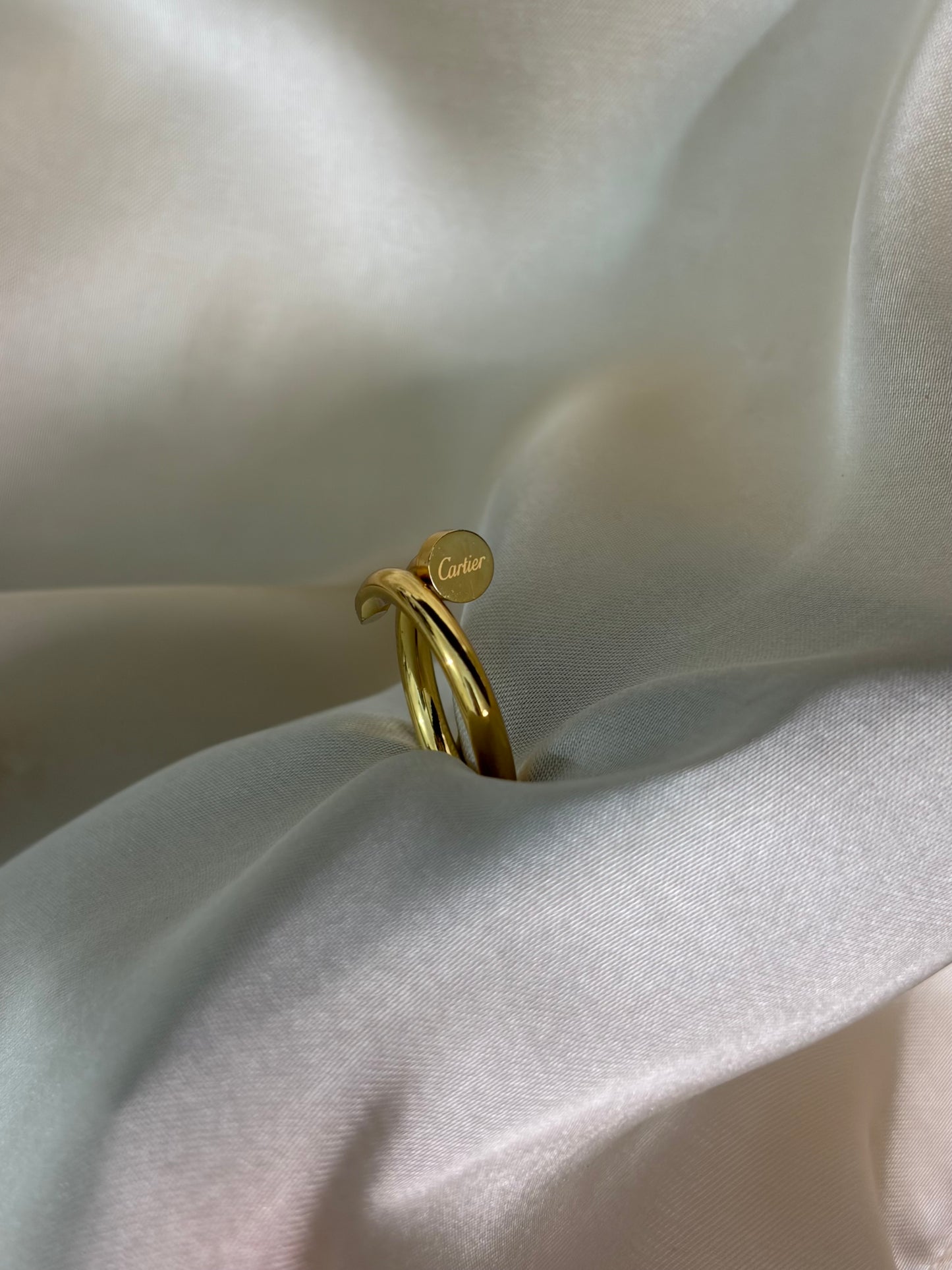 Minimalist Gold | Luxe Wrap Nail | Statement Ring